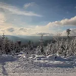 Schwarzwaldhotel Oberwiesenhof Hotel 4*