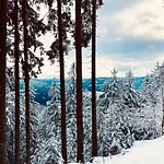 Schwarzwaldhotel Oberwiesenhof Hotel 4*
