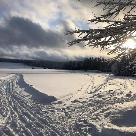 Schwarzwaldhotel Oberwiesenhof Отель Seewald