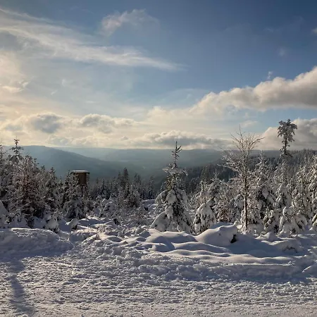 Schwarzwaldhotel Oberwiesenhof Отель 4*