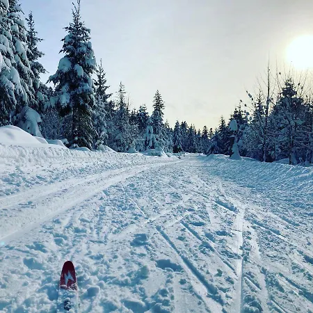 Schwarzwaldhotel Oberwiesenhof 4* Seewald