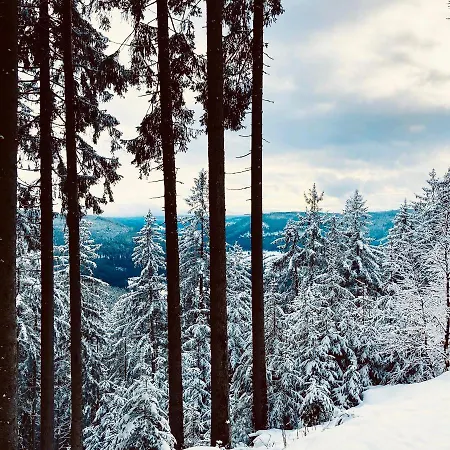 Schwarzwaldhotel Oberwiesenhof Отель 4*