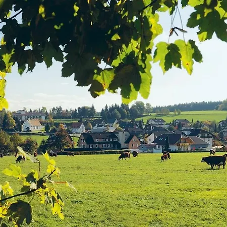 Hotel Schwarzwaldhotel Oberwiesenhof