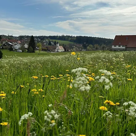 Schwarzwaldhotel Oberwiesenhof 4*