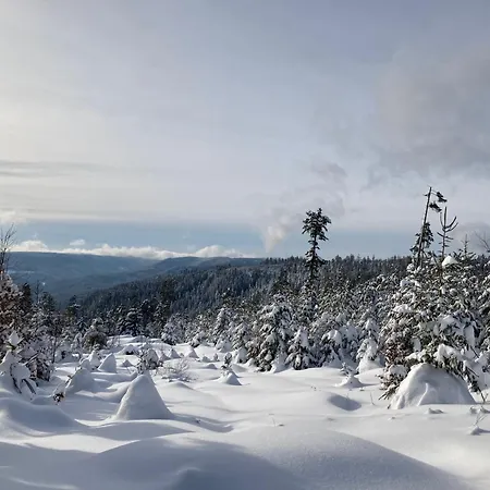 Schwarzwaldhotel Oberwiesenhof Отель 4*