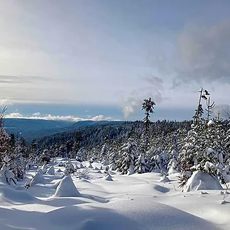 Schwarzwaldhotel Oberwiesenhof Seewald