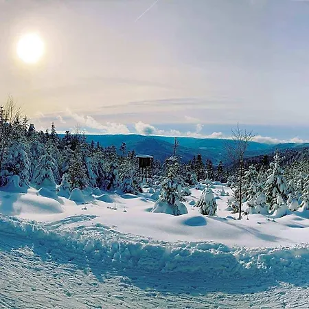 Schwarzwaldhotel Oberwiesenhof Seewald