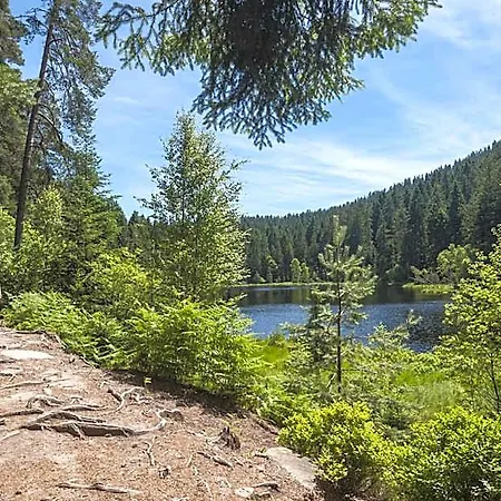 Schwarzwaldhotel Oberwiesenhof Hotel 4*