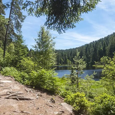 Отель Schwarzwaldhotel Oberwiesenhof Seewald