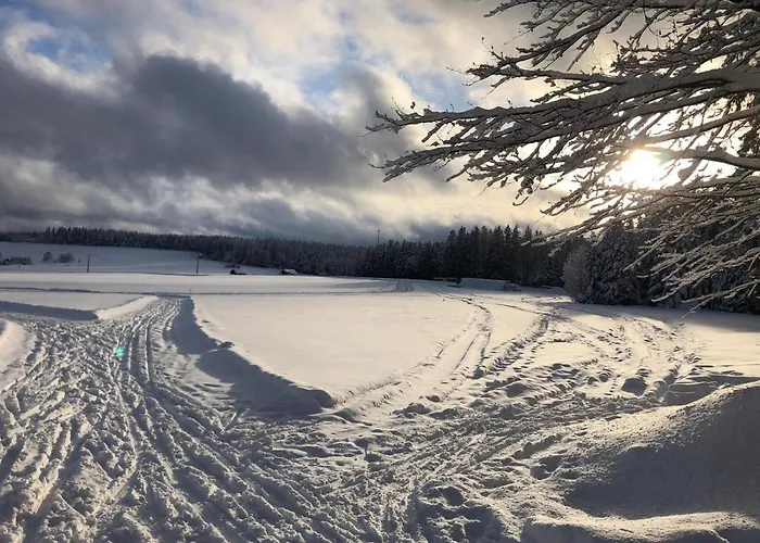 Schwarzwaldhotel Oberwiesenhof Otel Seewald