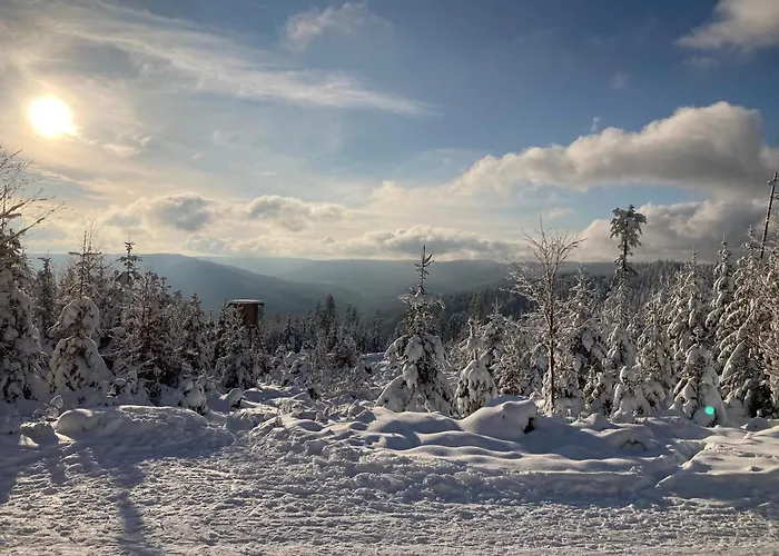 Schwarzwaldhotel Oberwiesenhof Otel 4*