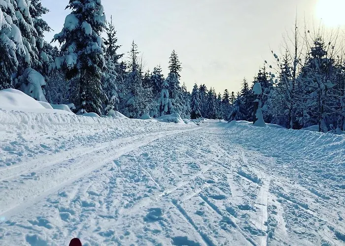 Schwarzwaldhotel Oberwiesenhof 4* Seewald