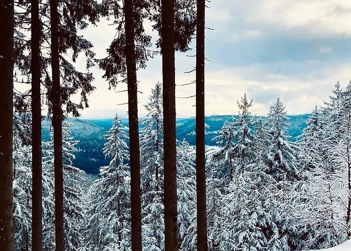 Schwarzwaldhotel Oberwiesenhof Otel 4*