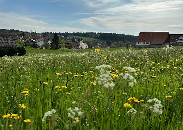 Schwarzwaldhotel Oberwiesenhof 4*
