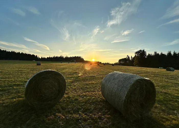 Schwarzwaldhotel Oberwiesenhof