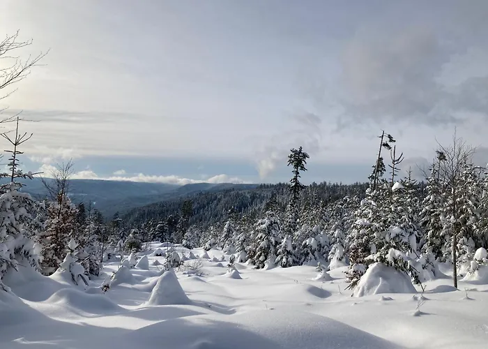Schwarzwaldhotel Oberwiesenhof Otel 4*