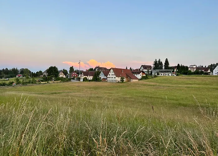 Schwarzwaldhotel Oberwiesenhof Otel