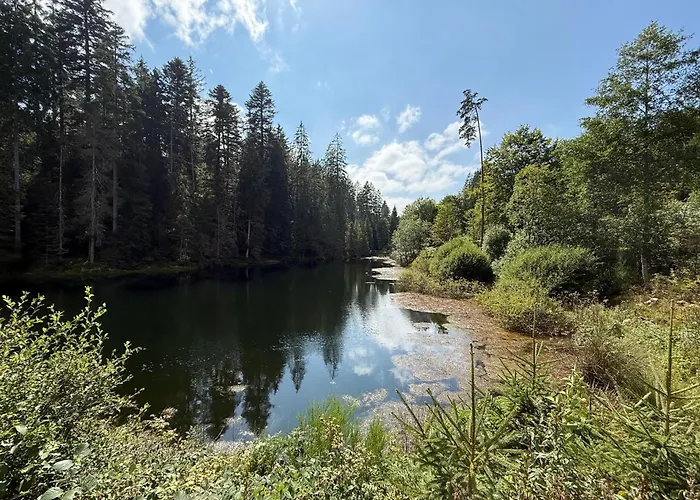 Schwarzwaldhotel Oberwiesenhof 4* Seewald