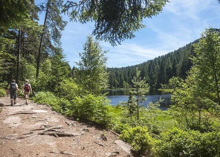 Otel Schwarzwaldhotel Oberwiesenhof Seewald