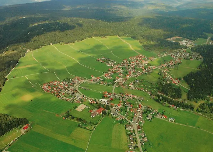 Schwarzwaldhotel Oberwiesenhof 4*