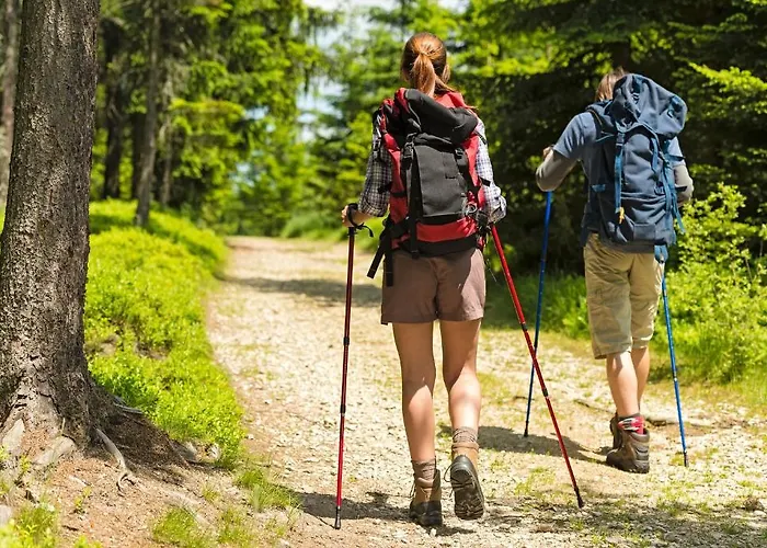 Schwarzwaldhotel Oberwiesenhof 4*